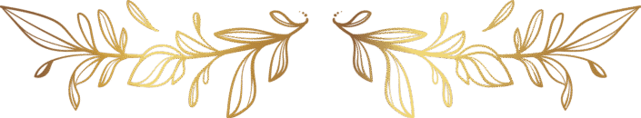 Objeto inteligente vectorial